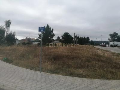 Palmela, セトゥーバル 2950-680, ポルトガル