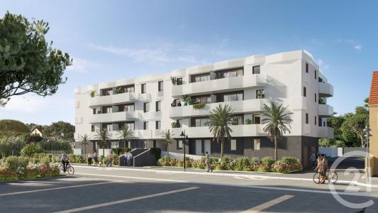 Le Barcares, Languedoc-Roussillon 66420, צרפת