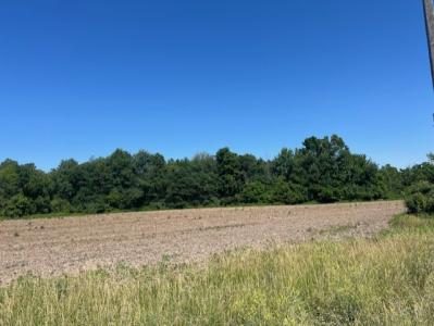 1500 W, Jasonville, 印第安纳州 47438, 美国