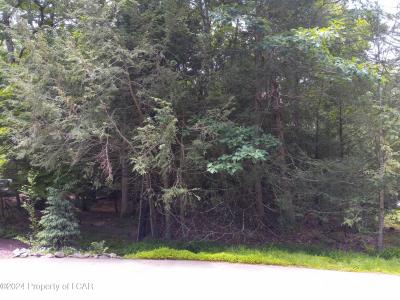 49 Mink Springs Court, Drums, Pennsylvania 18222