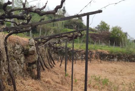 Baião, Porto 4640-210, Portogallo