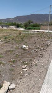 Santa María SN,, Jojutla, מורלוס 62900, מקסיקו