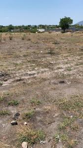 Santa María SN,, Jojutla, Морелос 62900, Мексика