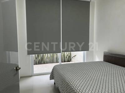 Cuernavaca, Morelos 62290, México