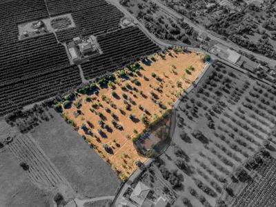 Silves, Faro 8365-052, Portugal