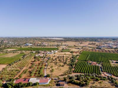 Silves, Фару 8365-052, Португалия