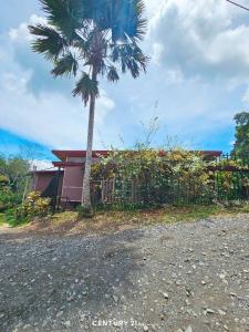 El Carmen de La Suiza , Turrialba Turrialba, Cartago 30501, Costa Rica