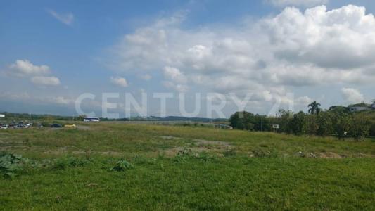 Tulua, Valle Del Cauca 00001, Colombia