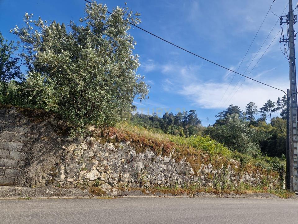 Ansião, Leiria 3240-212, Bồ Đào Nha