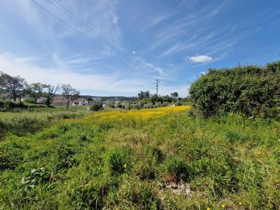 Ansião, Leiria 3240-212, Bồ Đào Nha
