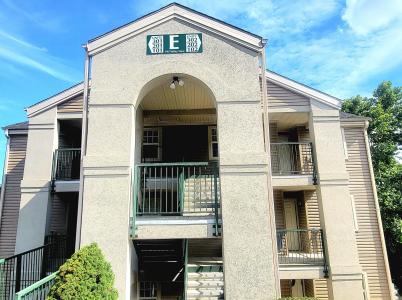 545 Valley View Road 201, Branson, מיזורי 65616, ארצות הברית של אמריקה 