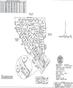 619 Homestead, Troy, 田纳西州 38260, 美国