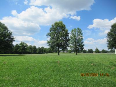 525 Homestead, Troy, Tennessee 38260, Amerika Birleşik Devletleri