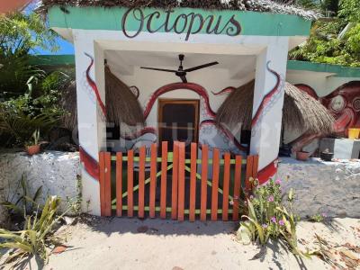 25 147,, Sinanché, Yucatán 97424, México