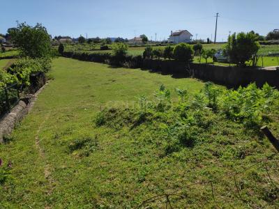 Ponte De Lima, Viana Do Castelo 4990-000, Portogallo