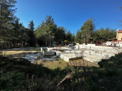 Moniatis, 4747, Cipro