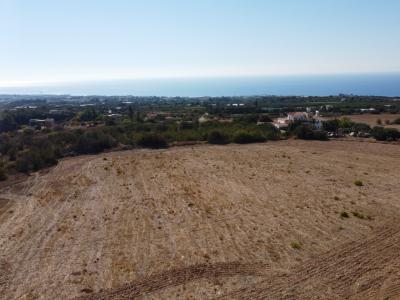 Tala, 8577, Cyprus