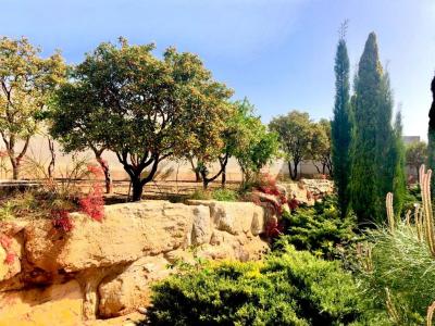 Kato Polemidia, Cyprus