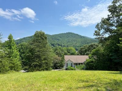Lots Nantahala, Hiawassee, Georgia 30546, HOA KỲ