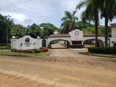 Quebrada Amarilla Jacó Garabito, Puntarenas 00001, Costa Rica