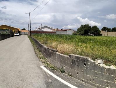Aveiro, Aveiro 3800-796, Portogallo
