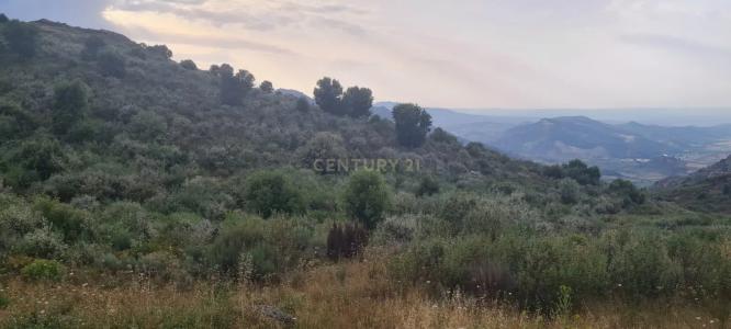 Vila Flor, Bragança 5360-000, Portugal