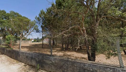 Ovar, Aveiro 3885-729, Portekiz