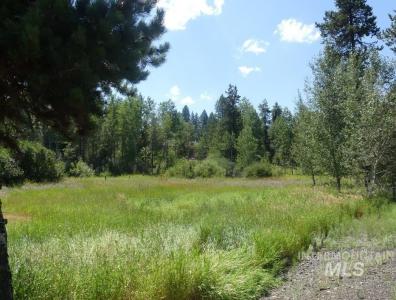 1002 Rowland Street, McCall, Idaho 83638