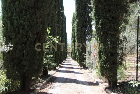 Strada della Pittura, Terni, Umbria 05100, Italia