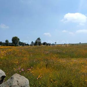 Jilotepec, Estado De México 54270, Mexico