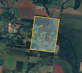 Minga Guazú, Alto Paraná 00001, Paraguay