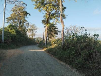 Manuel Antonio Quepos Quepos, Puntarenas 60601, Costa Rica