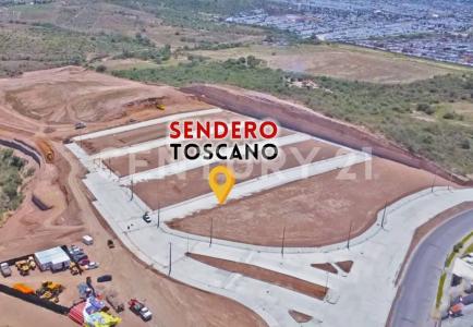 Aguascalientes, Aguascalientes 20174, Mexico