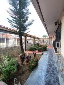 Lote F Calle Nro. 10 Urbanizaciòn Sant^ Omero, El Consejo, Aragua 2121, Venezuela