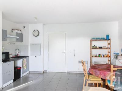 Aimargues, Languedoc-Roussillon 30470, Frankreich