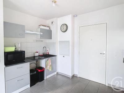 Aimargues, Languedoc-Roussillon 30470, Frankreich