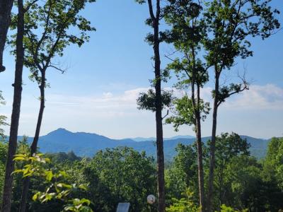 Hillbilly Holler, Hayesville, 北卡羅來納州 28904, 美國