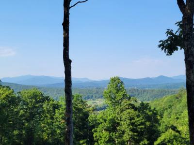 Hillbilly Holler, Hayesville, 北卡羅來納州 28904, 美國