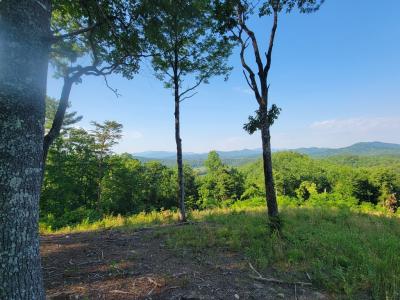 Hillbilly Holler, Hayesville, 北卡羅來納州 28904, 美國