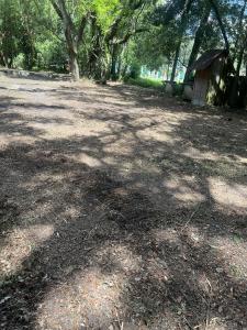 7415 20th Street, Zephyrhills, Floride 33540, États-Unis