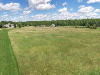 W887 Rosewood Dr Lot 1, Chili, 威斯康辛州 54420, 美國