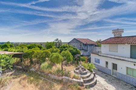 Nisa, Portalegre 6050-532, Portugal