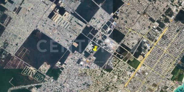 Solidaridad / Riviera Maya, Quintana Roo 77712, Mexiko