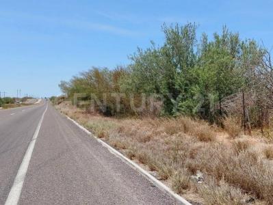 La Paz, Baja California Sur 23240, Mexico
