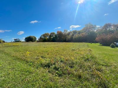 11A19 Bunker Lane, Apple River, Illinois 61001, USA