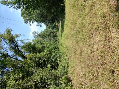 80 acres Calhoun CR 199, Hampton, Arkansas 71744, USA