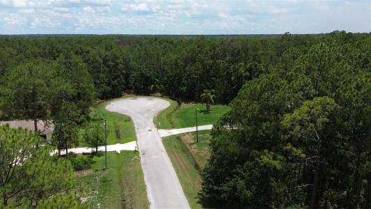 Florida Grackle Lane #LOT 236, FROSTPROOF, 佛羅里達州 33843, 美國
