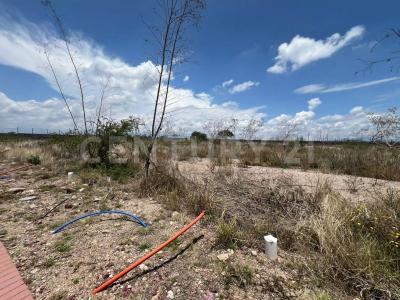 Libramiento a Celaya, Ciudad Maderas Sur 2 SN,, Apaseo El Alto, 瓜纳华托 38517, 墨西哥
