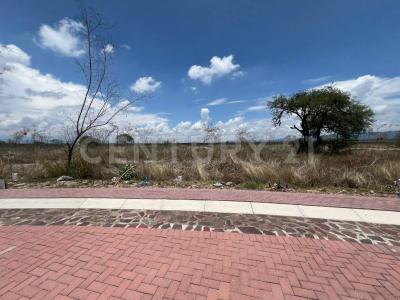 Libramiento a Celaya, Ciudad Maderas Sur 2 SN,, Apaseo El Alto, Guanajuato 38517, México