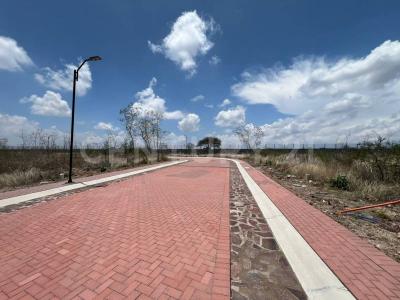 Libramiento a Celaya, Ciudad Maderas Sur 2 SN,, Apaseo El Alto, Guanajuato 38517, México